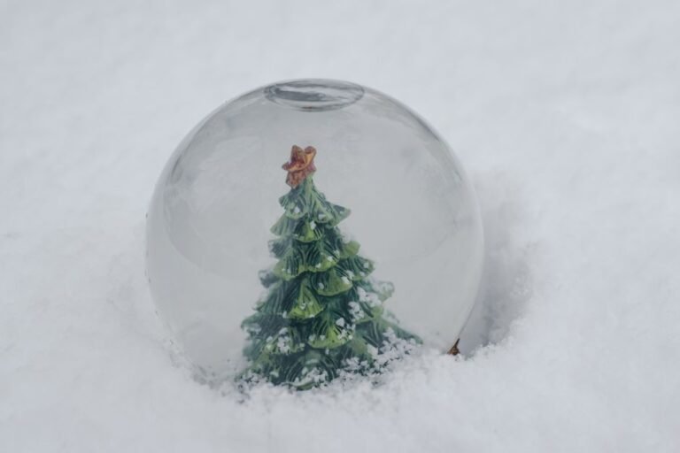 Boule à neige diy avec un mini sapin de Noël enneigé