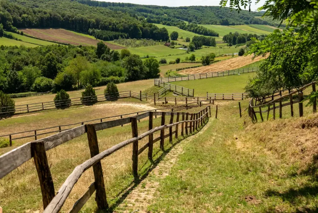 Clôture en bois posée sur un terrain en pente dans un jardin