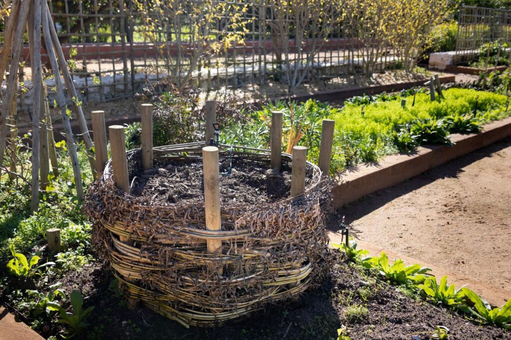 Composteur installé dans un coin de jardin ombragé
