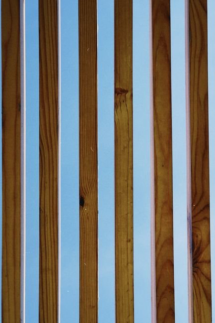 Lattes de bois verticales espacées laissant passer la lumière, illustrant l'espace de ventilation d'un cache poubelle en bois