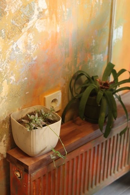 Cache radiateur en bois façon étagère avec plantes