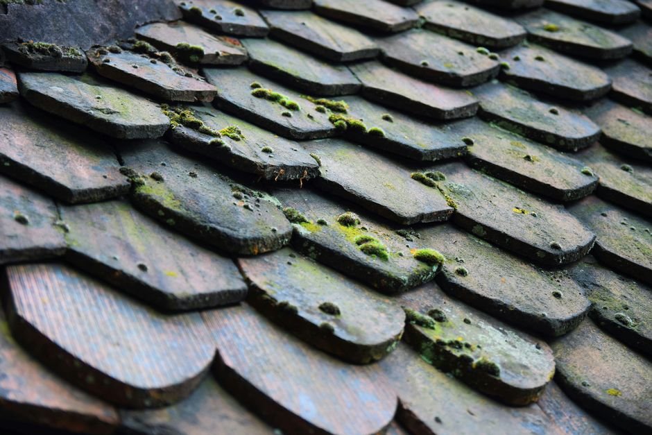 Vieilles tuiles de toit envahies par la mousse