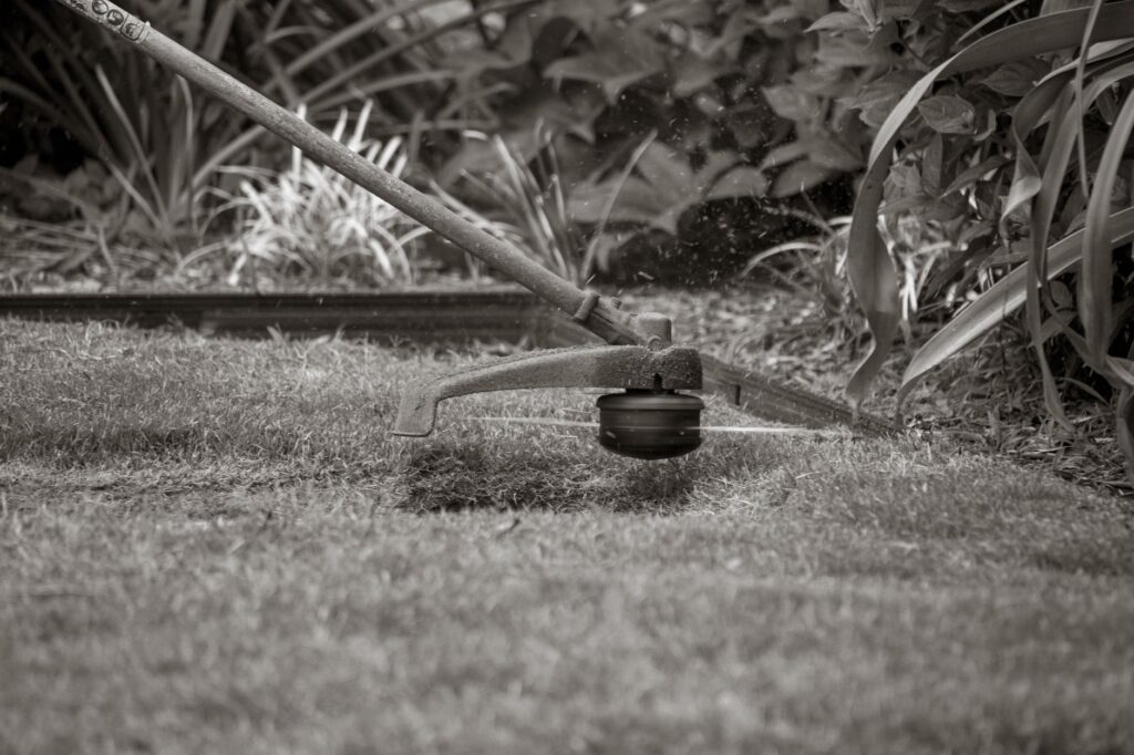 Débroussailleuse coupant l'herbe