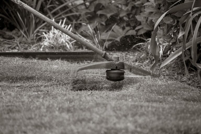 Débroussailleuse coupant l'herbe